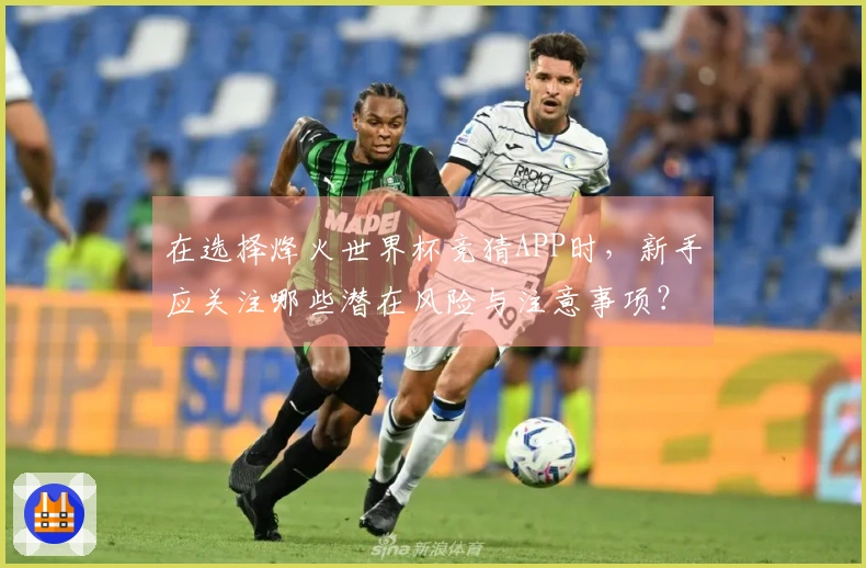 在选择烽火世界杯竞猜APP时，新手应关注哪些潜在风险与注意事项？