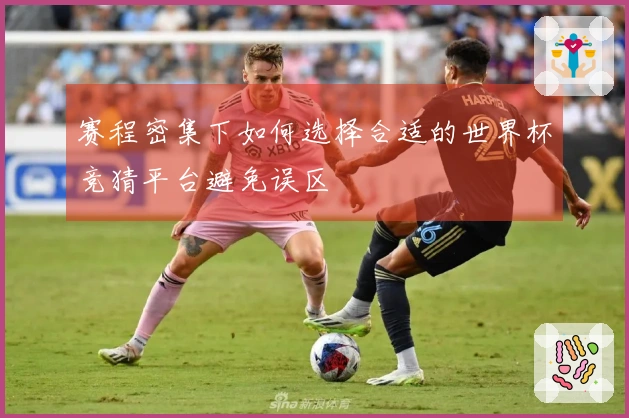 赛程密集下如何选择合适的世界杯竞猜平台避免误区