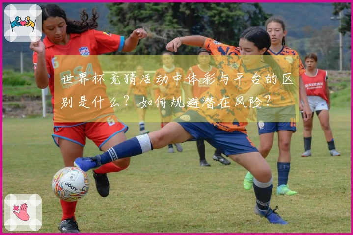 世界杯竞猜活动中体彩与平台的区别是什么？如何规避潜在风险？