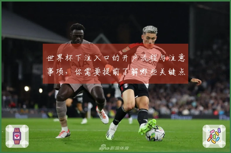 世界杯下注入口的开户流程与注意事项，你需要提前了解哪些关键点？