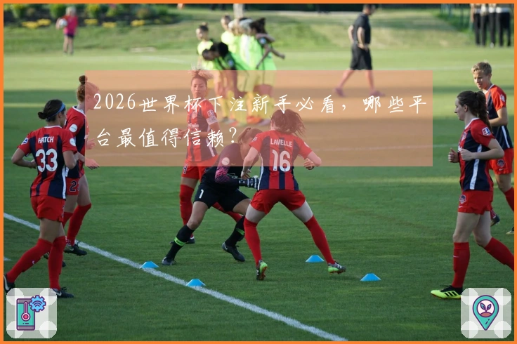 2026世界杯下注新手必看，哪些平台最值得信赖？