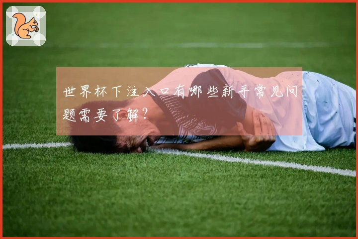 世界杯下注入口有哪些新手常见问题需要了解？