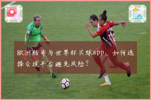欧洲赔率与世界杯买球app，如何选择合适平台避免风险？