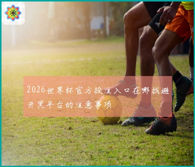 2026世界杯官方投注入口在哪找避开黑平台的注意事项