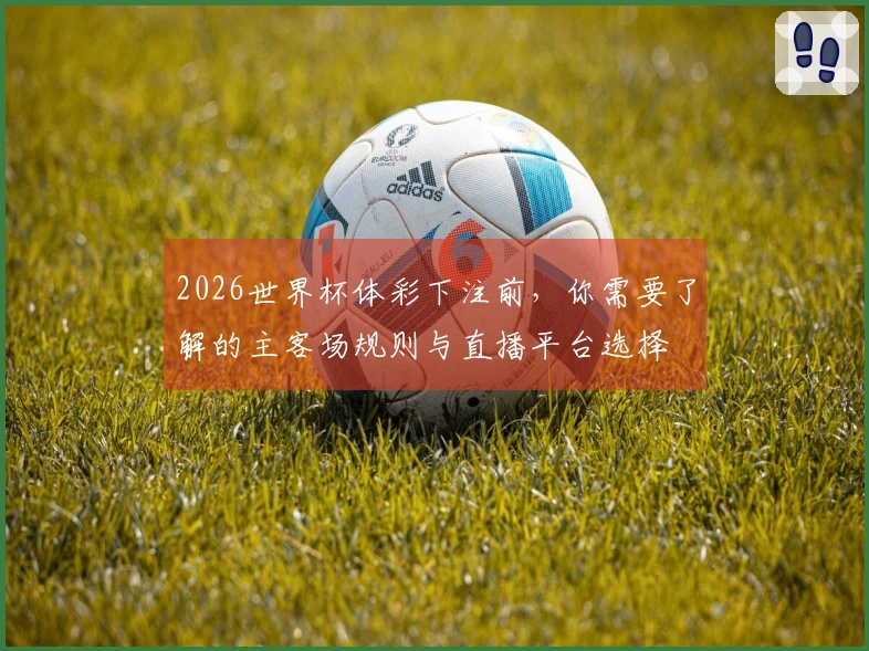 2026世界杯体彩下注前，你需要了解的主客场规则与直播平台选择