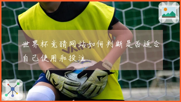 世界杯竞猜网站如何判断是否适合自己使用和投注