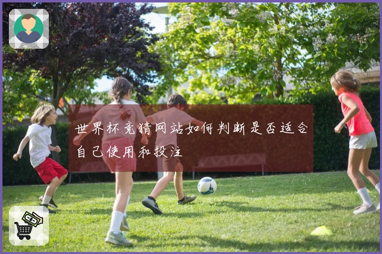 世界杯竞猜网站如何判断是否适合自己使用和投注