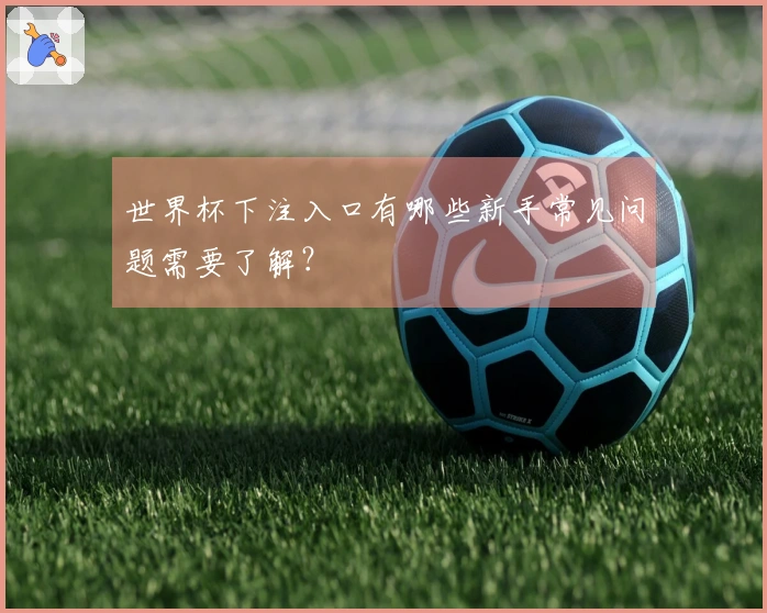 世界杯下注入口有哪些新手常见问题需要了解？