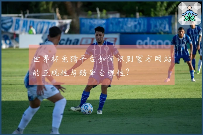 世界杯竞猜平台如何识别官方网站的正规性与赔率合理性？