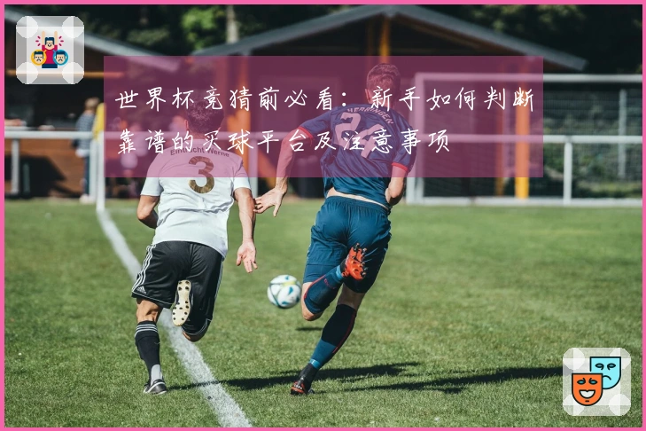 世界杯竞猜前必看：新手如何判断靠谱的买球平台及注意事项