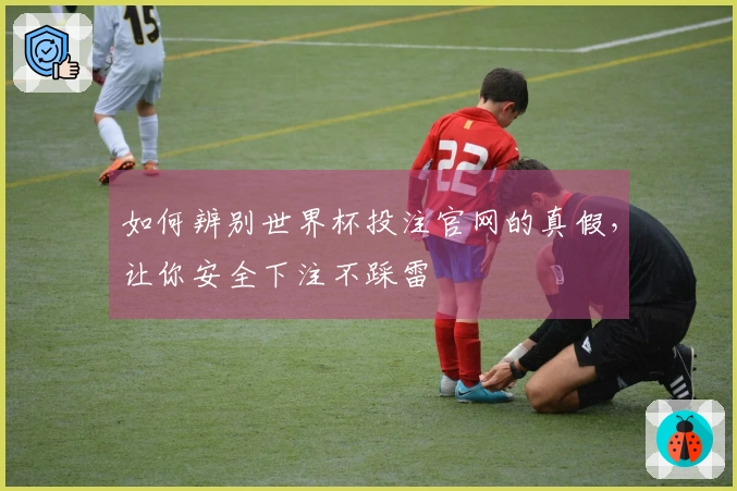 如何辨别世界杯投注官网的真假，让你安全下注不踩雷