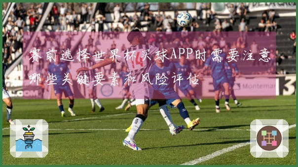 赛前选择世界杯买球APP时需要注意哪些关键要素和风险评估