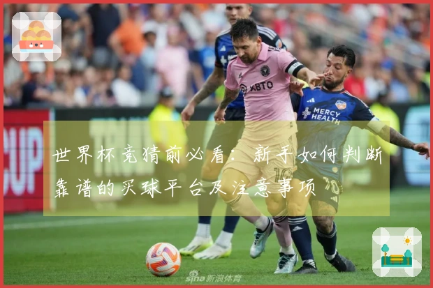 世界杯竞猜前必看：新手如何判断靠谱的买球平台及注意事项