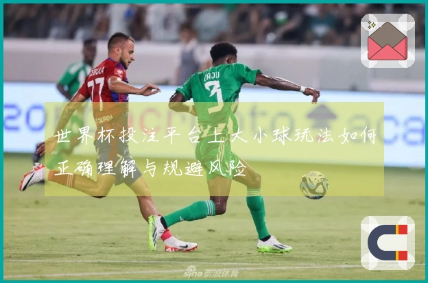 世界杯投注平台上大小球玩法如何正确理解与规避风险