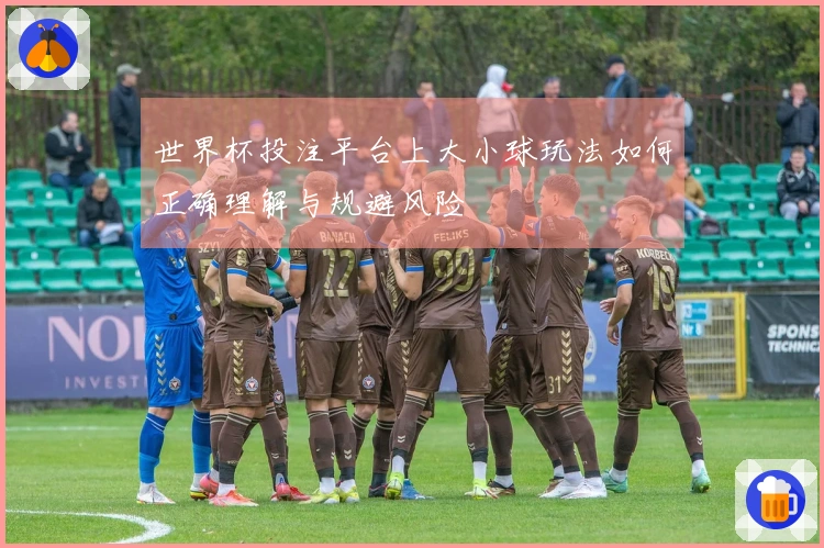世界杯投注平台上大小球玩法如何正确理解与规避风险