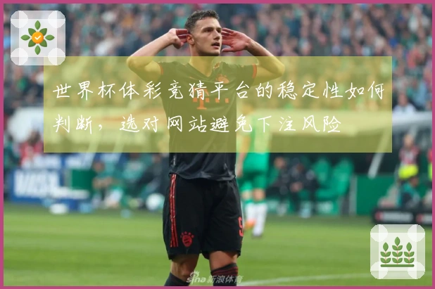世界杯体彩竞猜平台的稳定性如何判断，选对网站避免下注风险