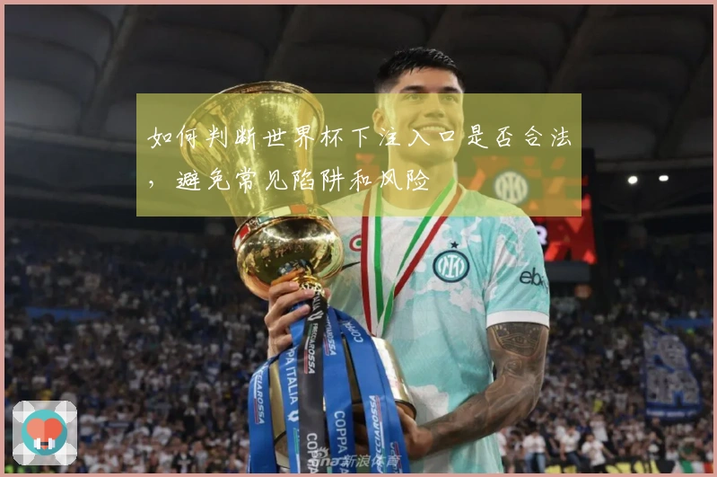 如何判断世界杯下注入口是否合法，避免常见陷阱和风险