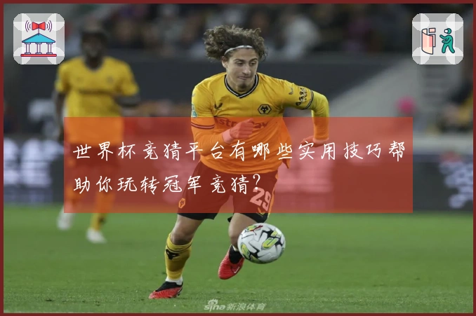 世界杯竞猜平台有哪些实用技巧帮助你玩转冠军竞猜？