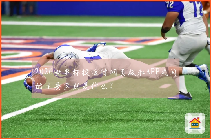 2026世界杯投注时网页版和APP之间的主要区别是什么？