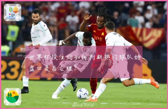 世界杯投注站如何判断热门球队的盘口是否合理？